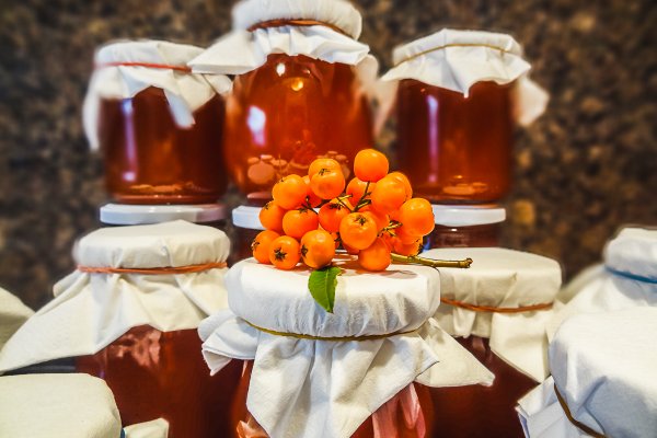 Ссылка на кракен не работает