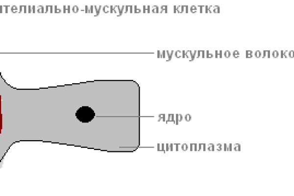 Кракен новый сайт