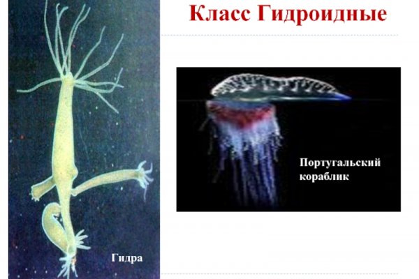 Кракен даркнет не работает