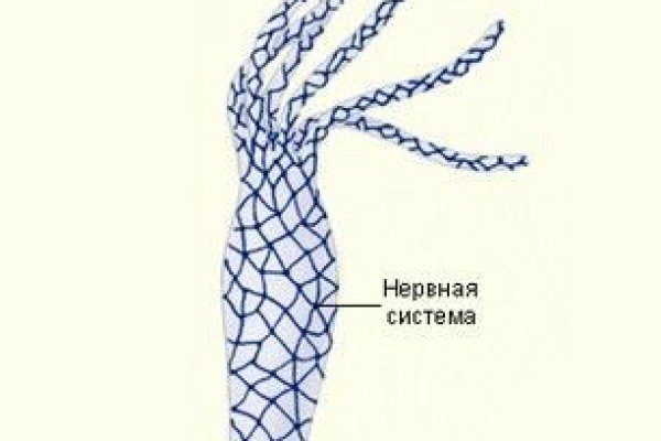 Kraken сайт зеркала