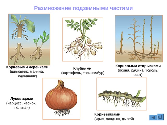 Кракен сайт упал